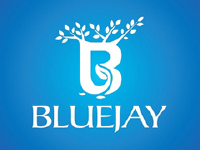 Bluejay copy