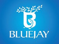 Bluejay-copy.jpg